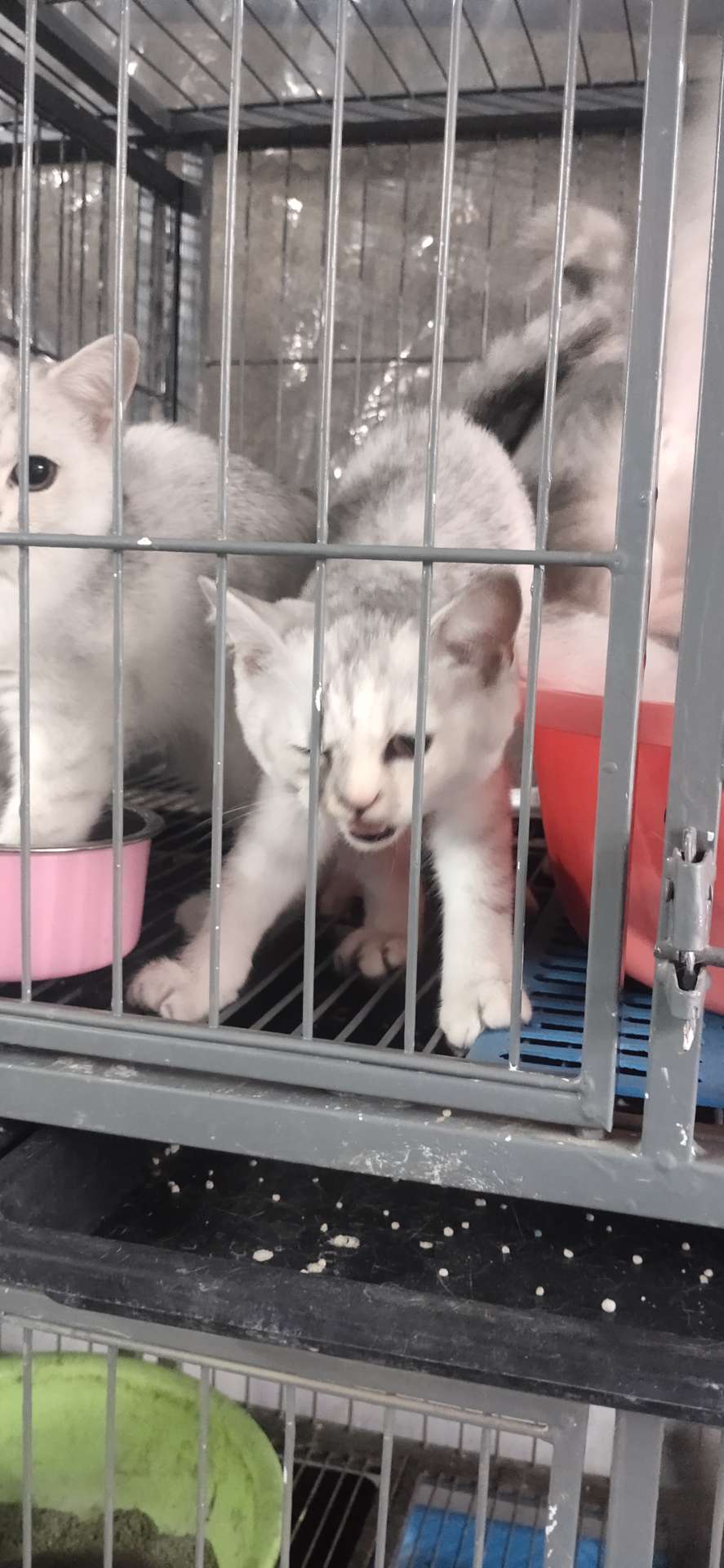 缩略图 2
