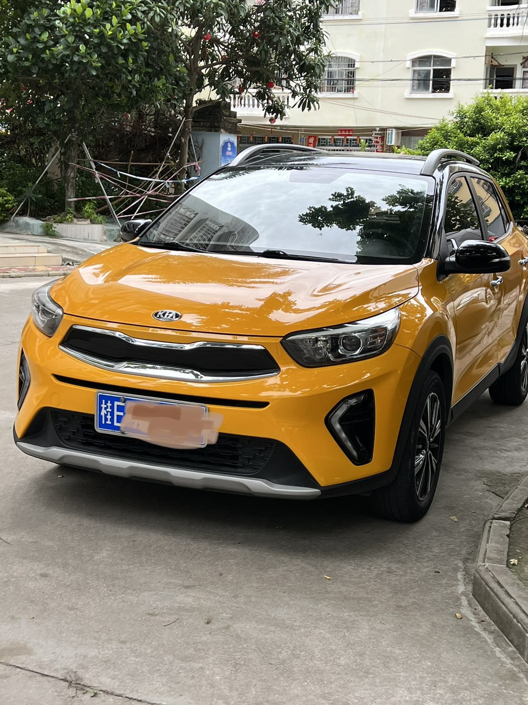 缩略图 2