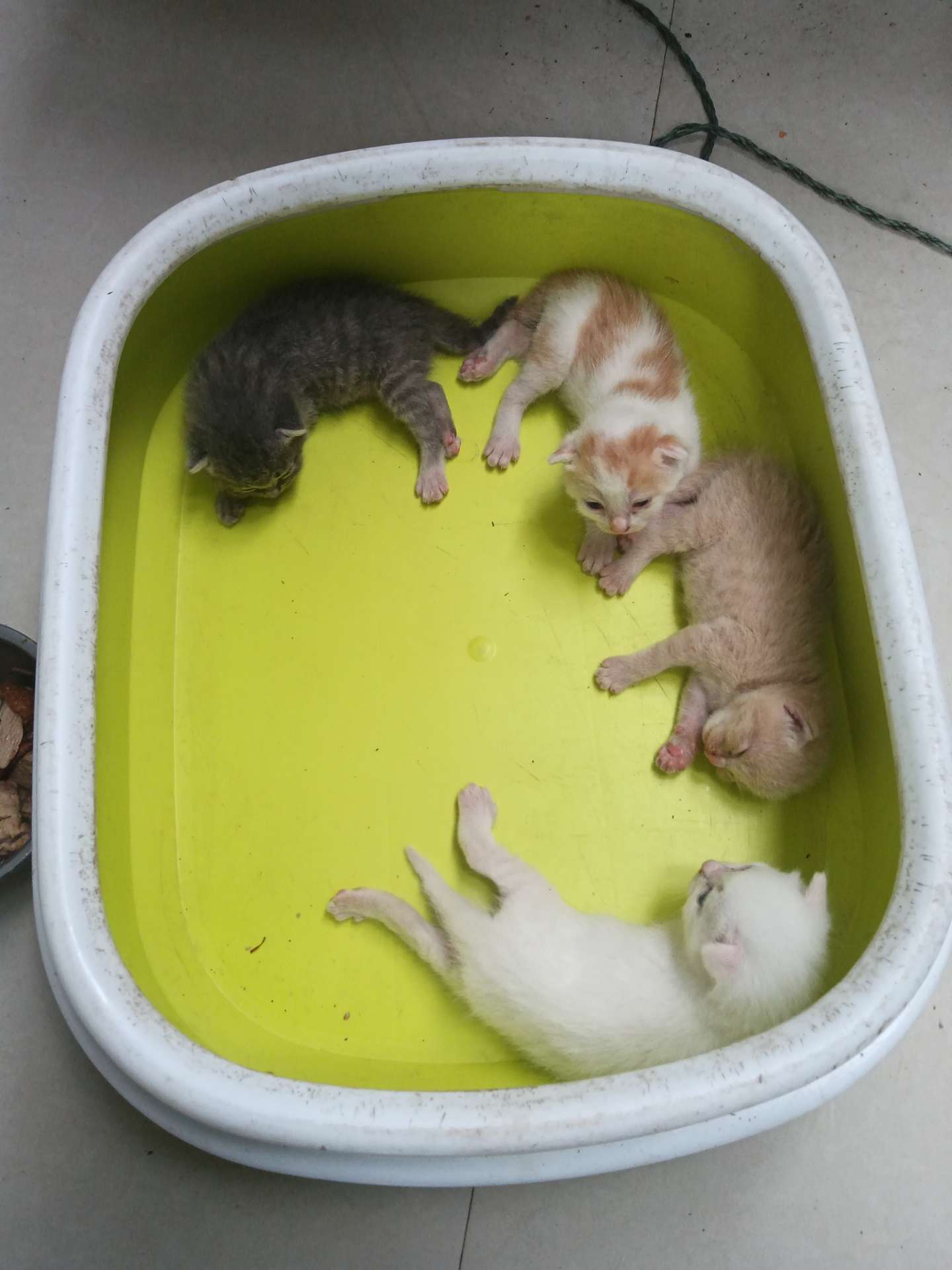 缩略图 2