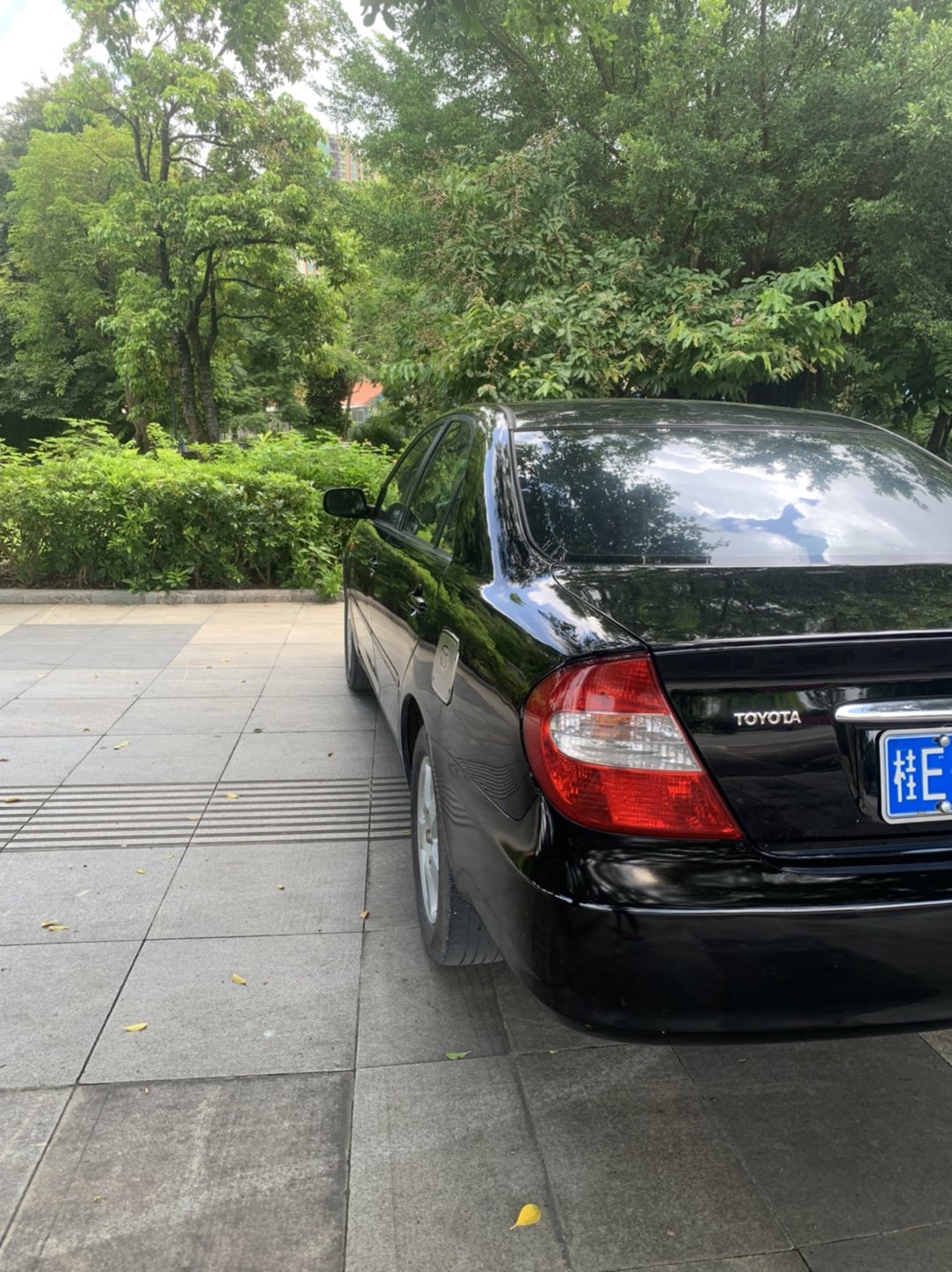 缩略图 4