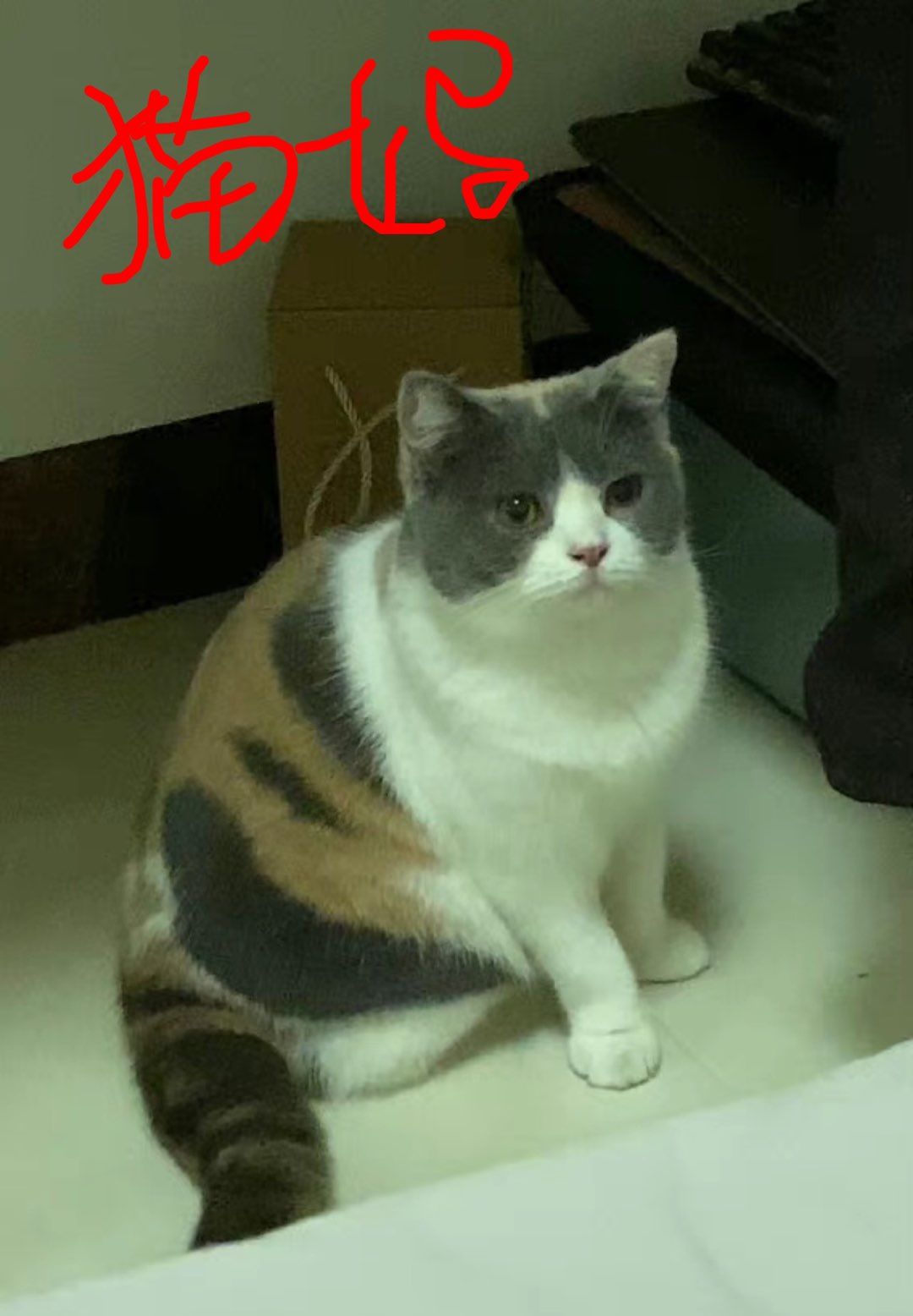 缩略图 5