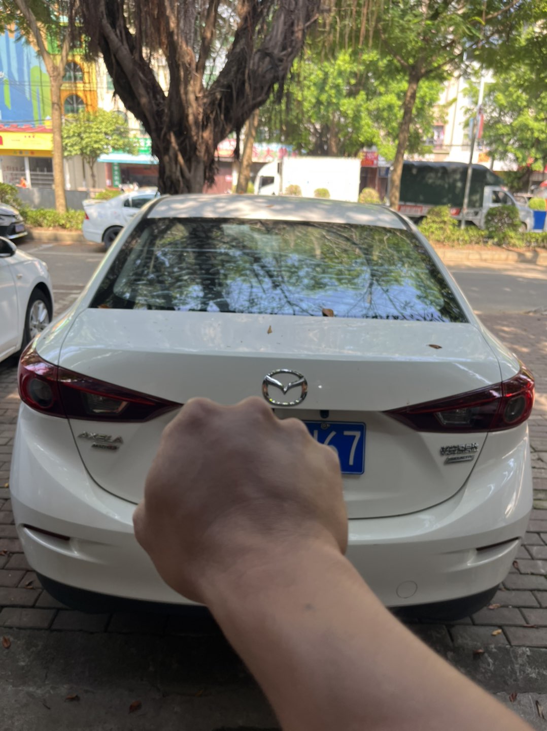 缩略图 2