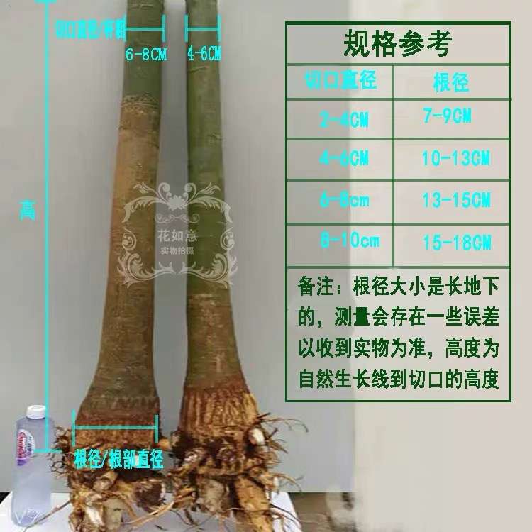 缩略图 2