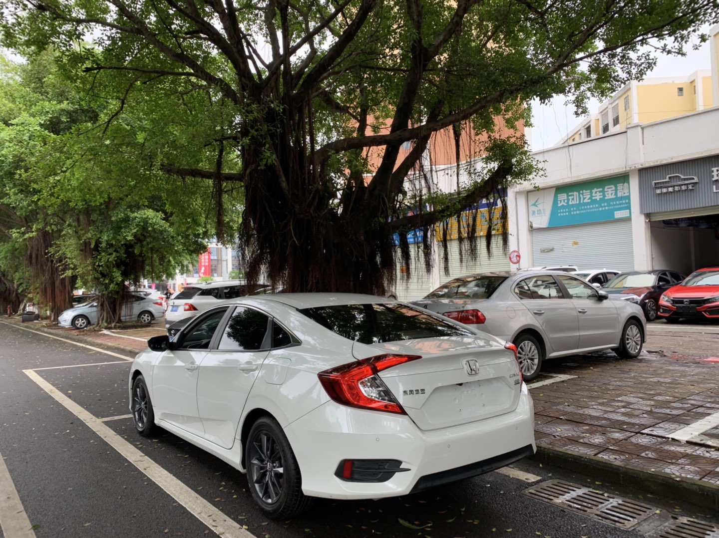缩略图 3