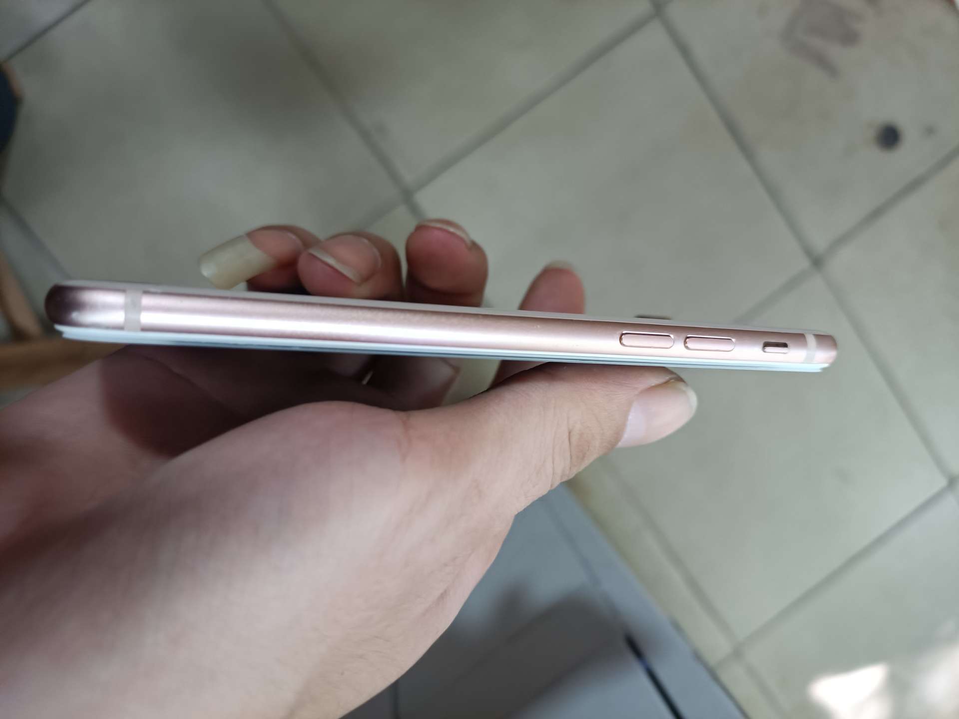 缩略图 5