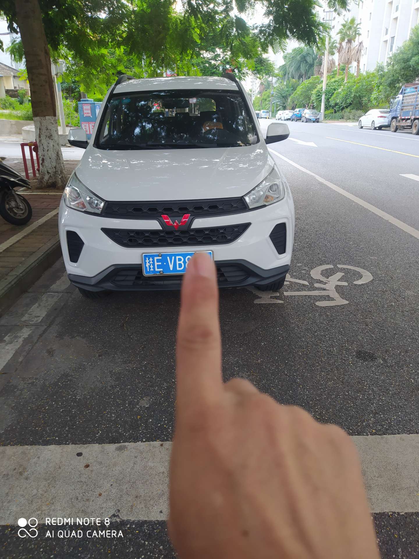 缩略图 3