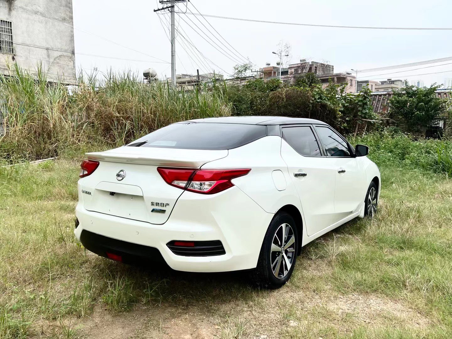 缩略图 5