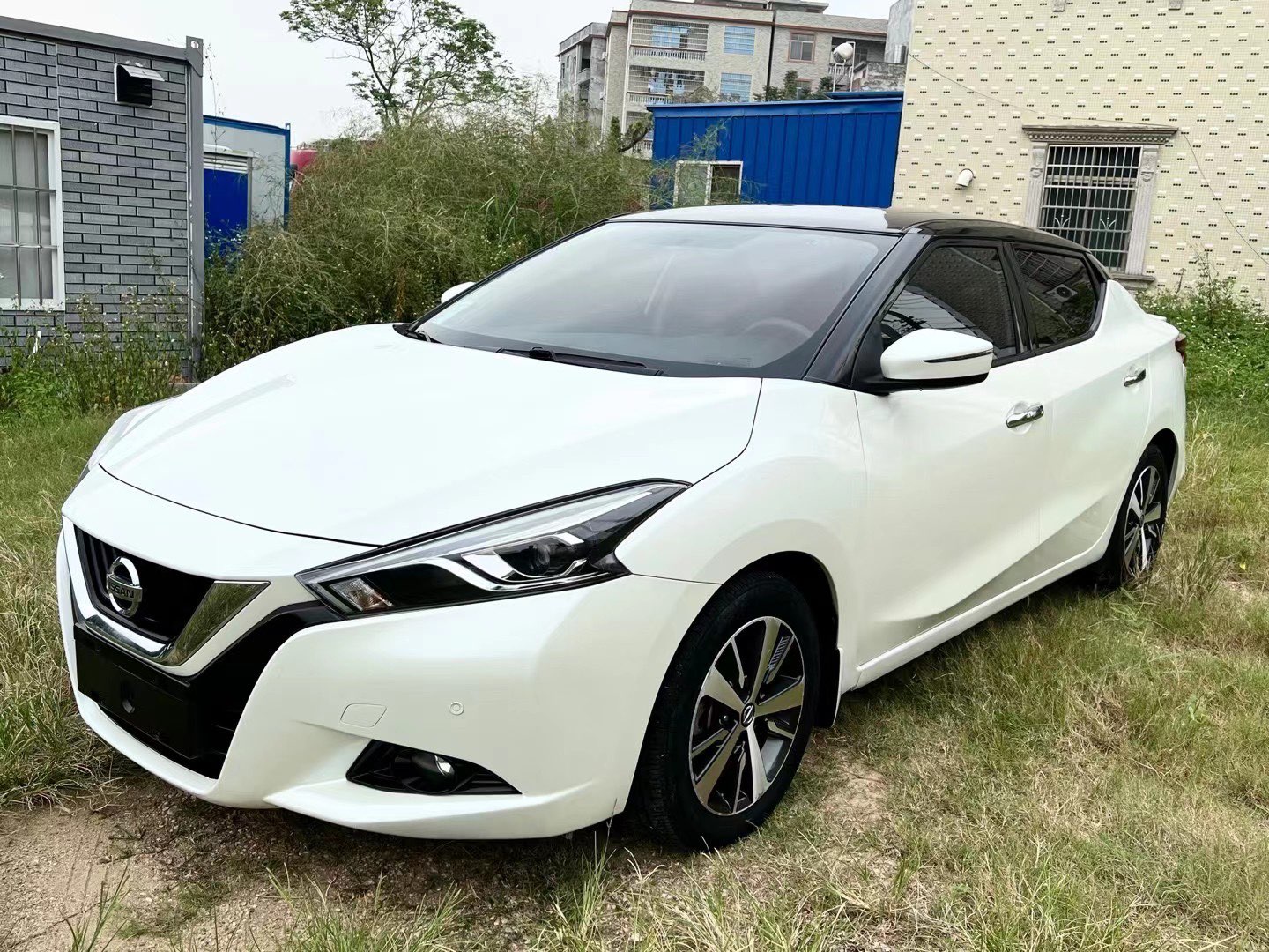 缩略图 2