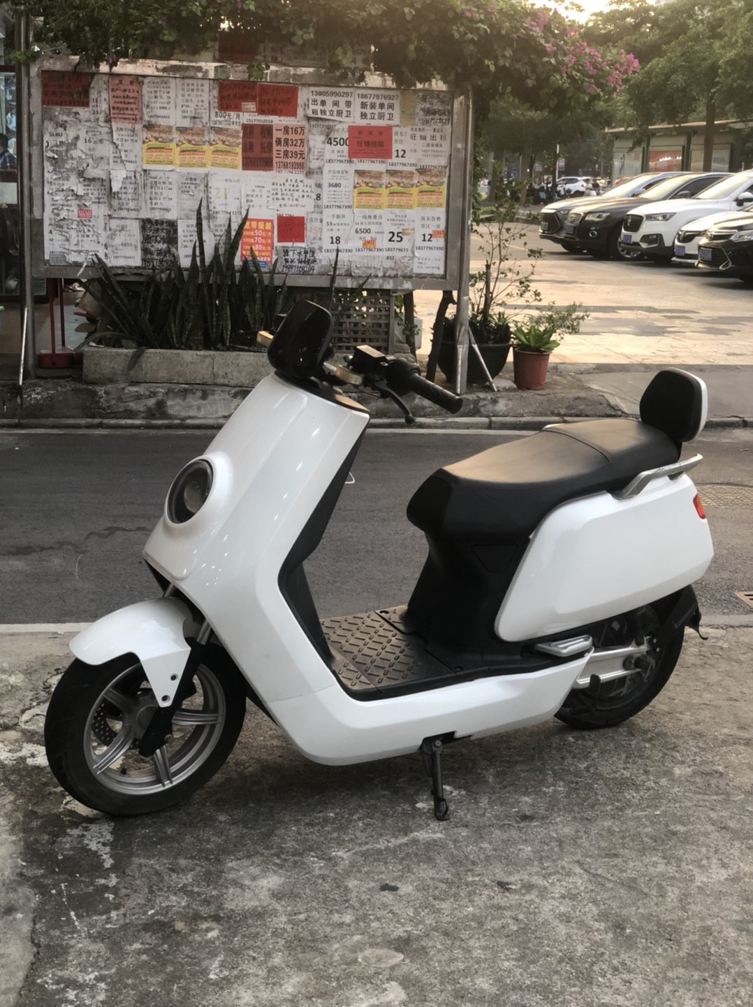 动力版小牛
