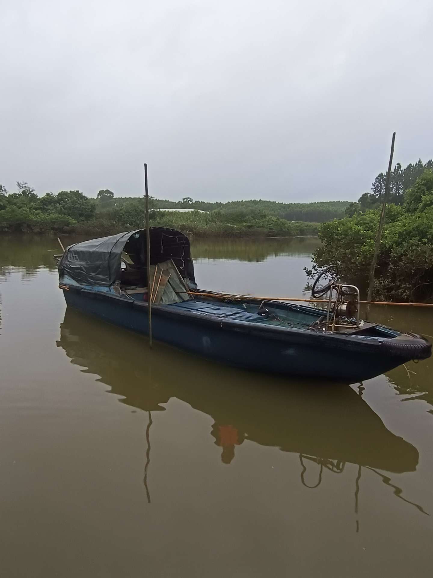 缩略图 3