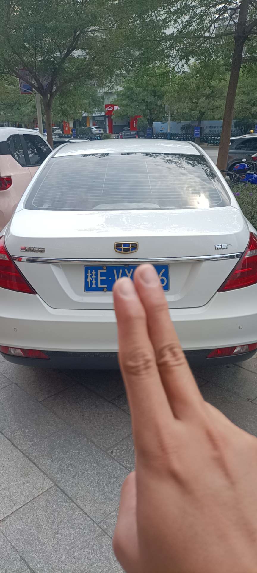 缩略图 5