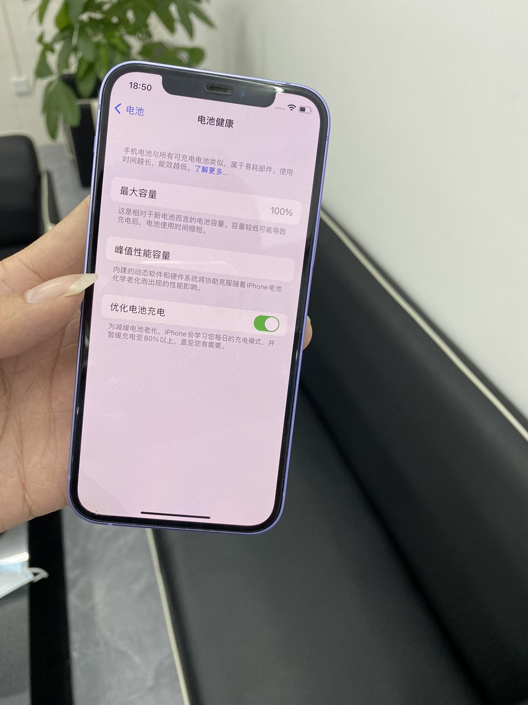 缩略图 2