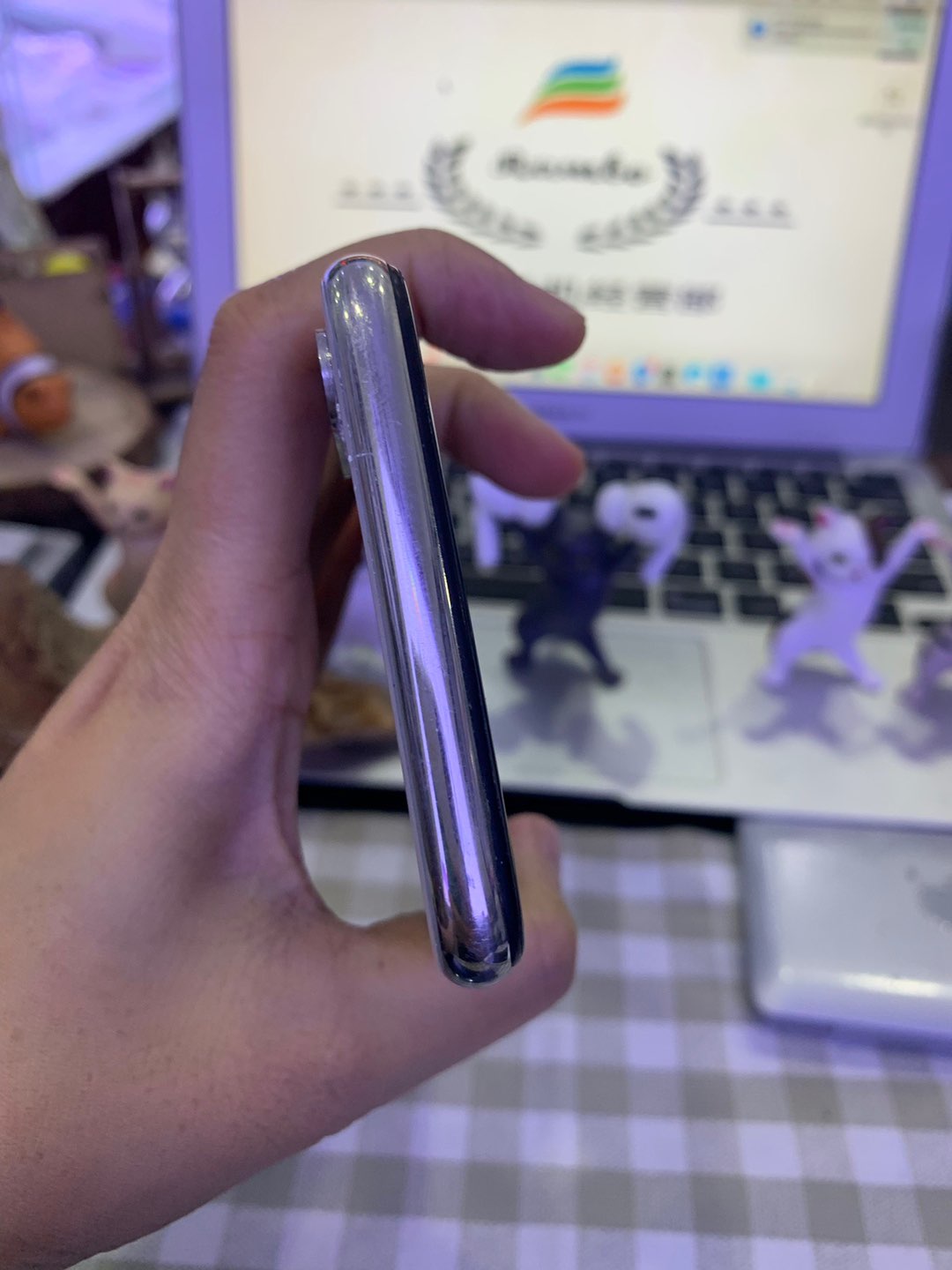 缩略图 5
