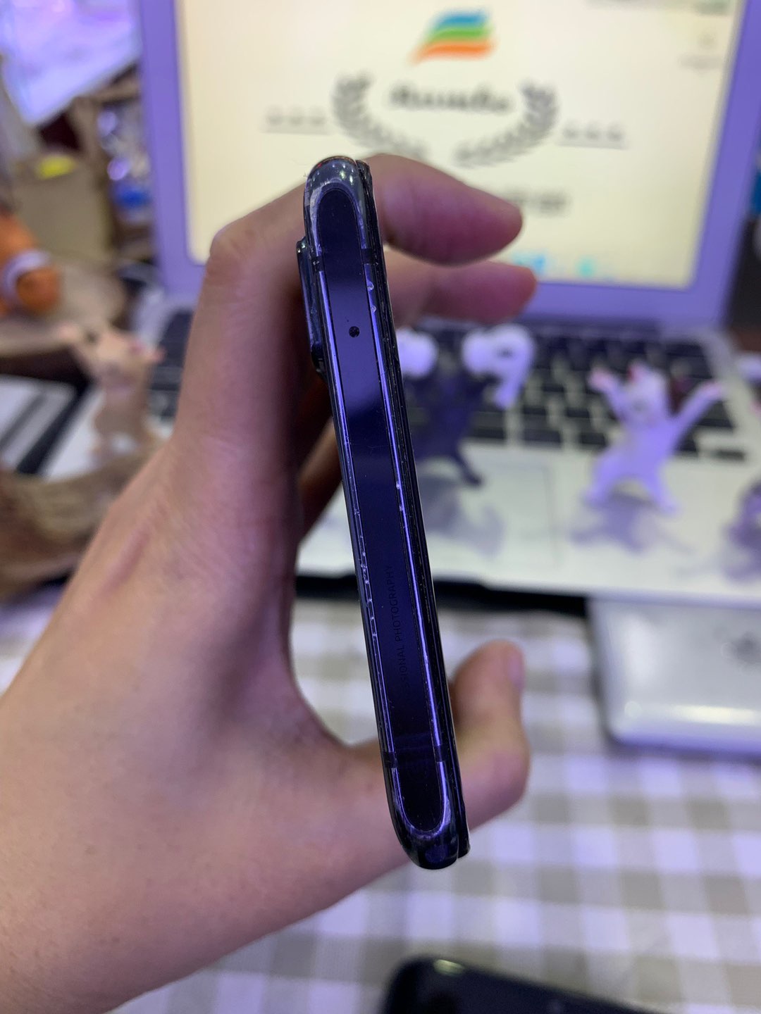 缩略图 2