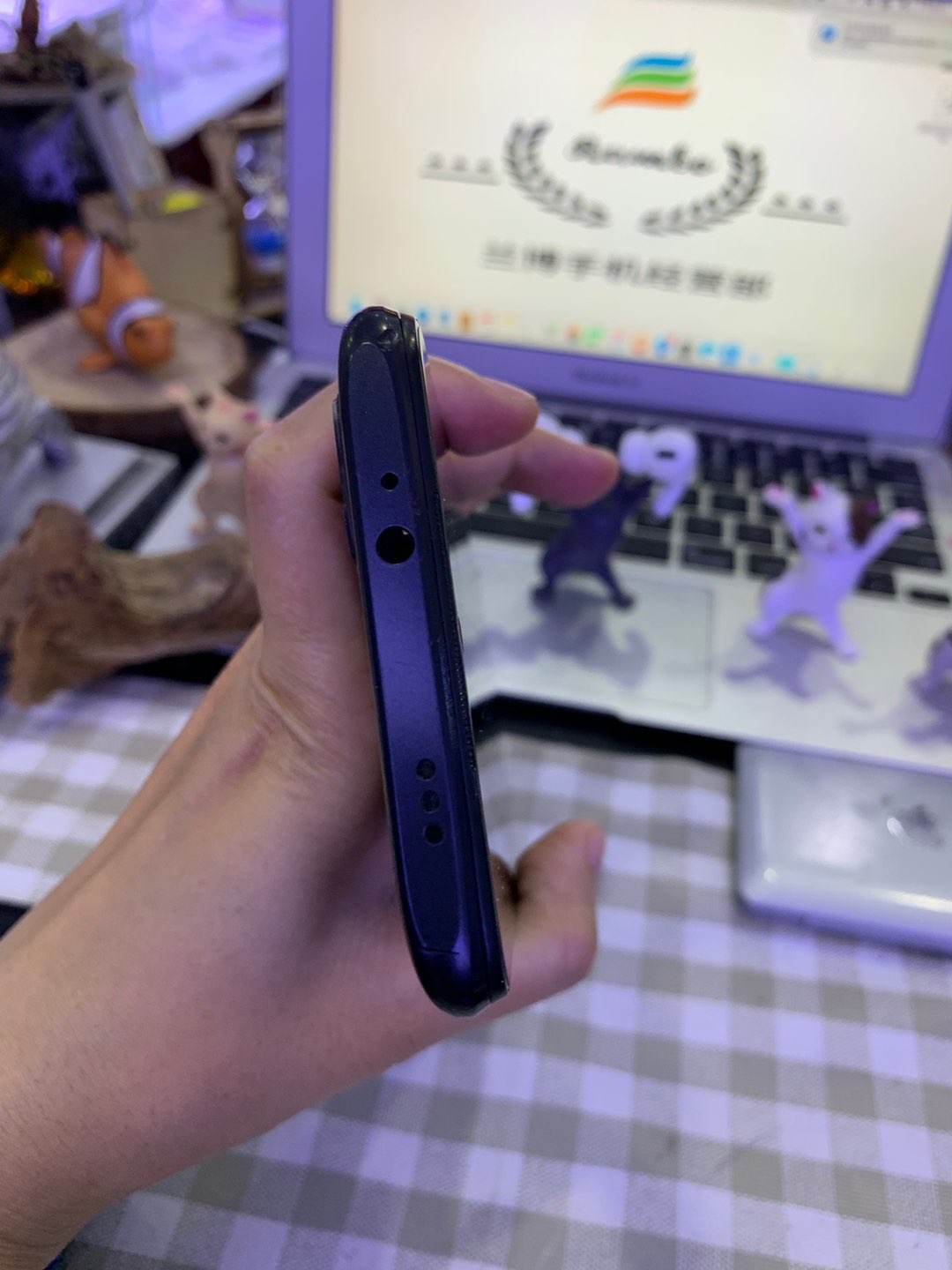 缩略图 5