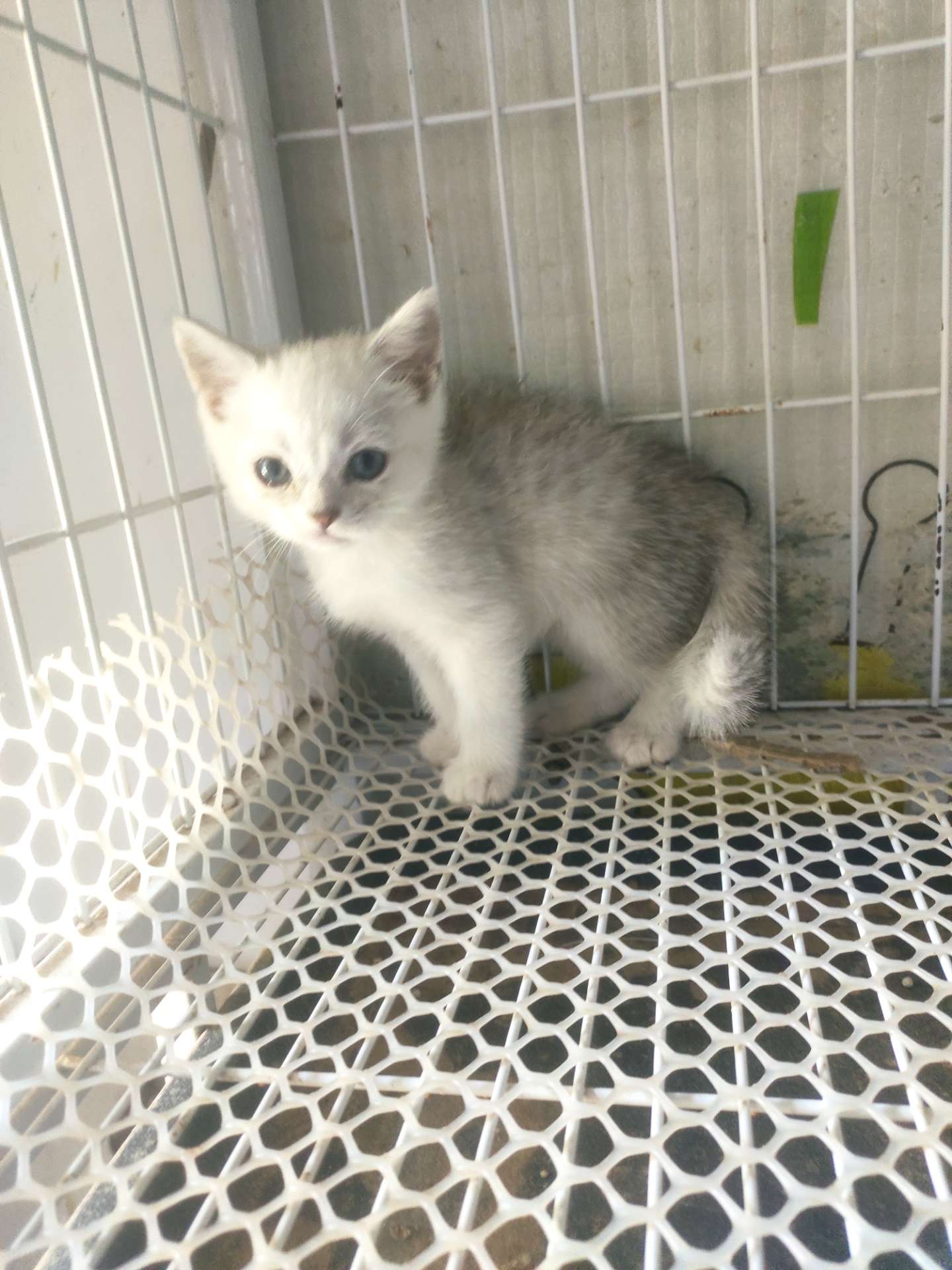 缩略图 4