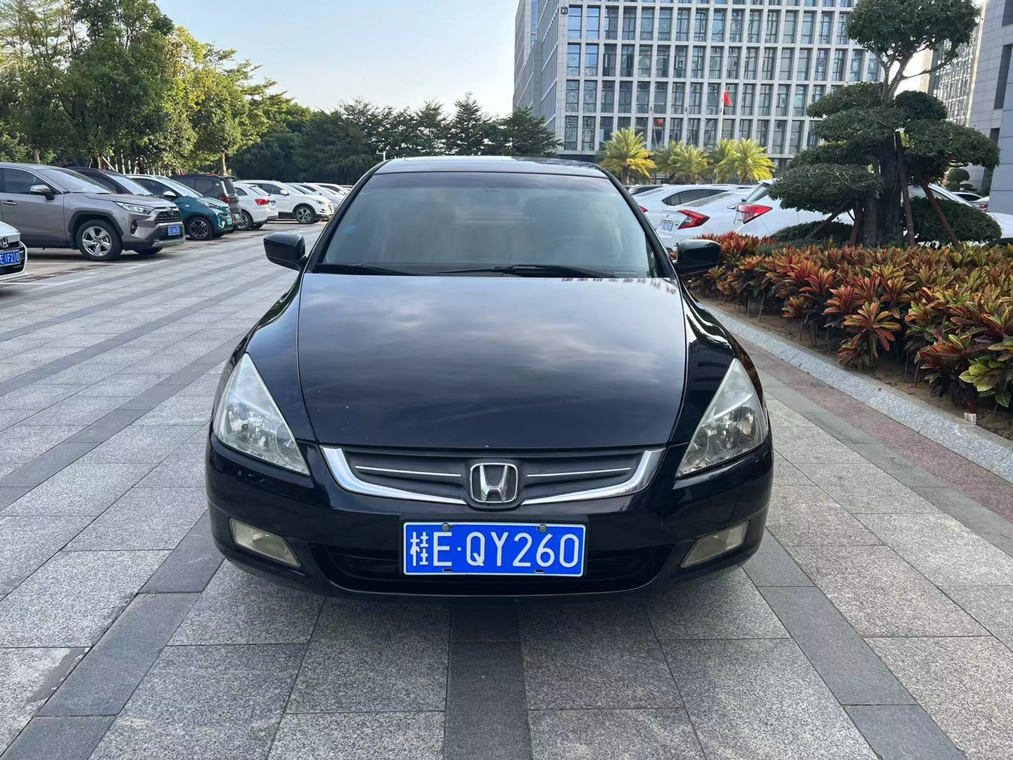 缩略图 2