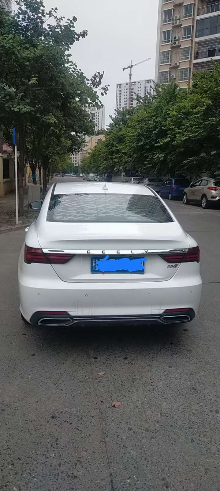 缩略图 3