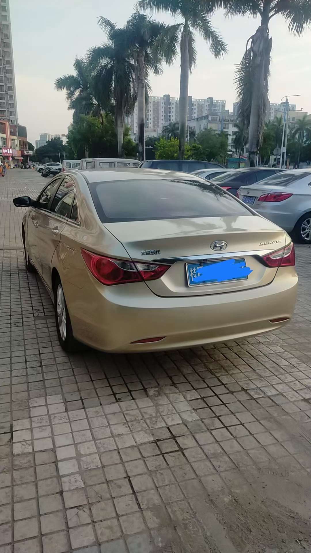 缩略图 6