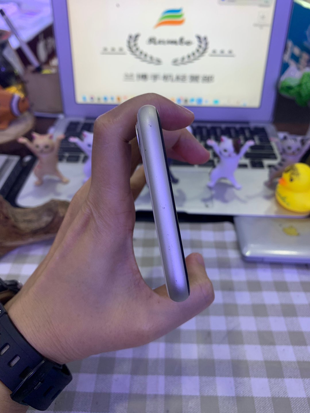 缩略图 5