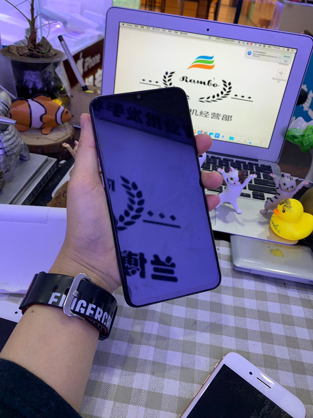 缩略图 6