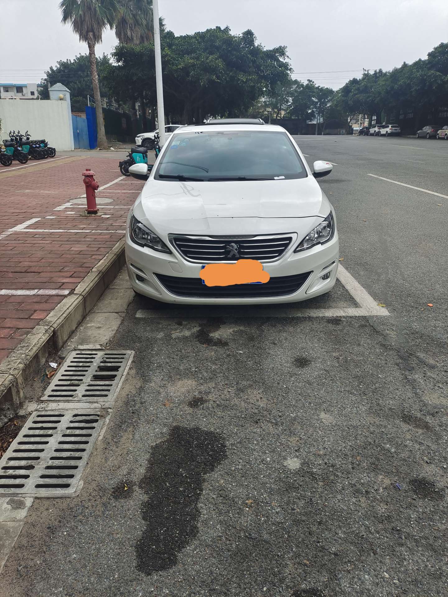 缩略图 2