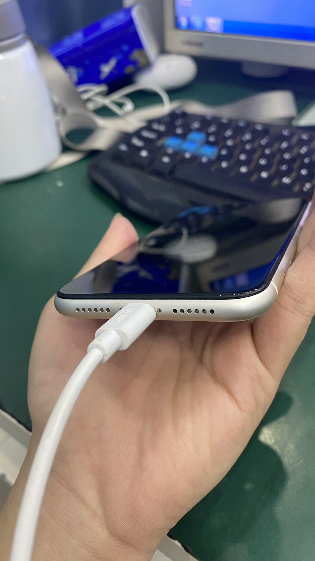 缩略图 6
