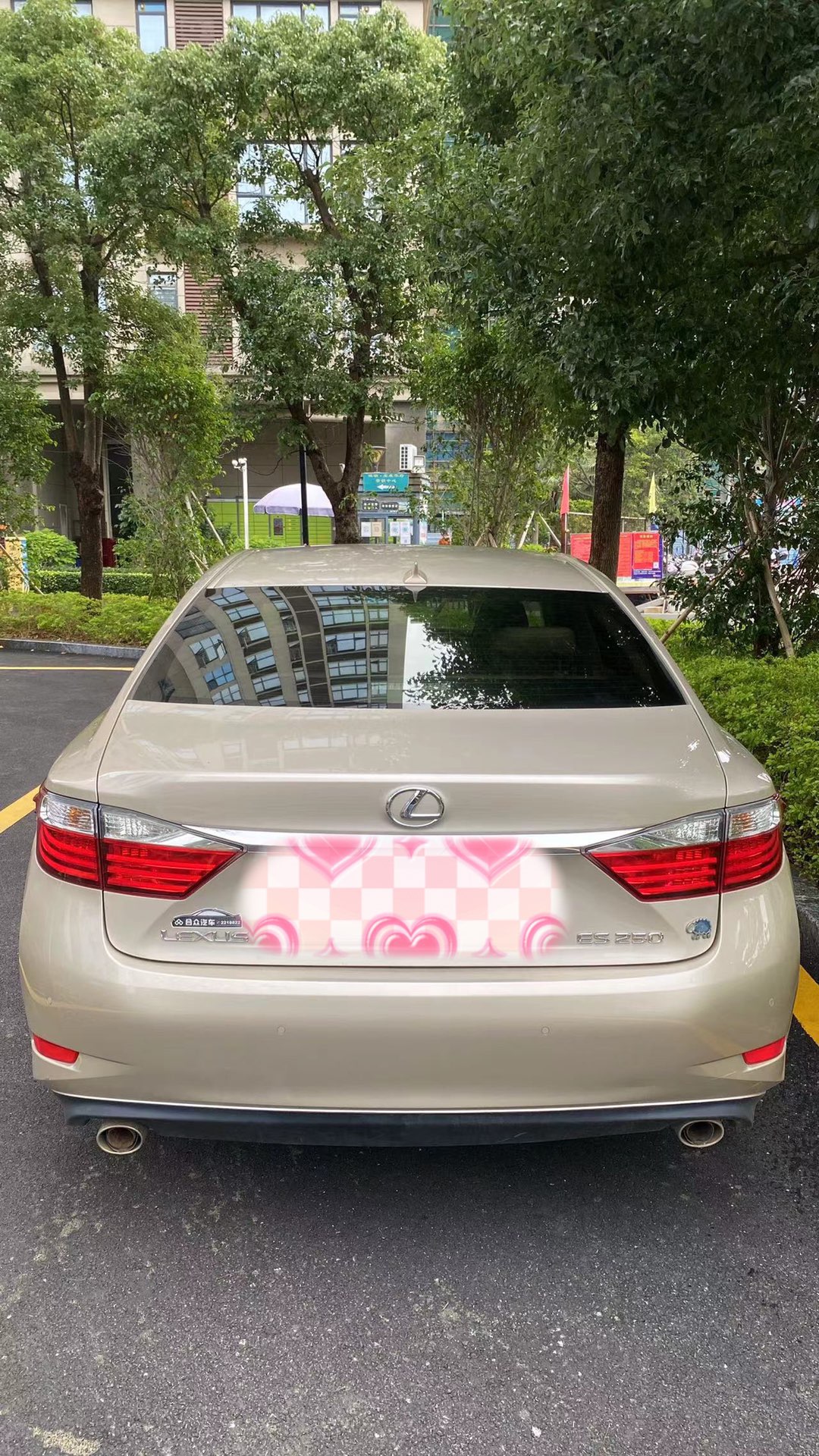 缩略图 3