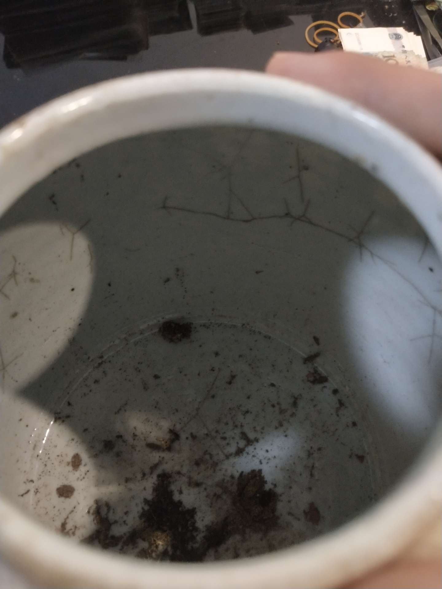 缩略图 7