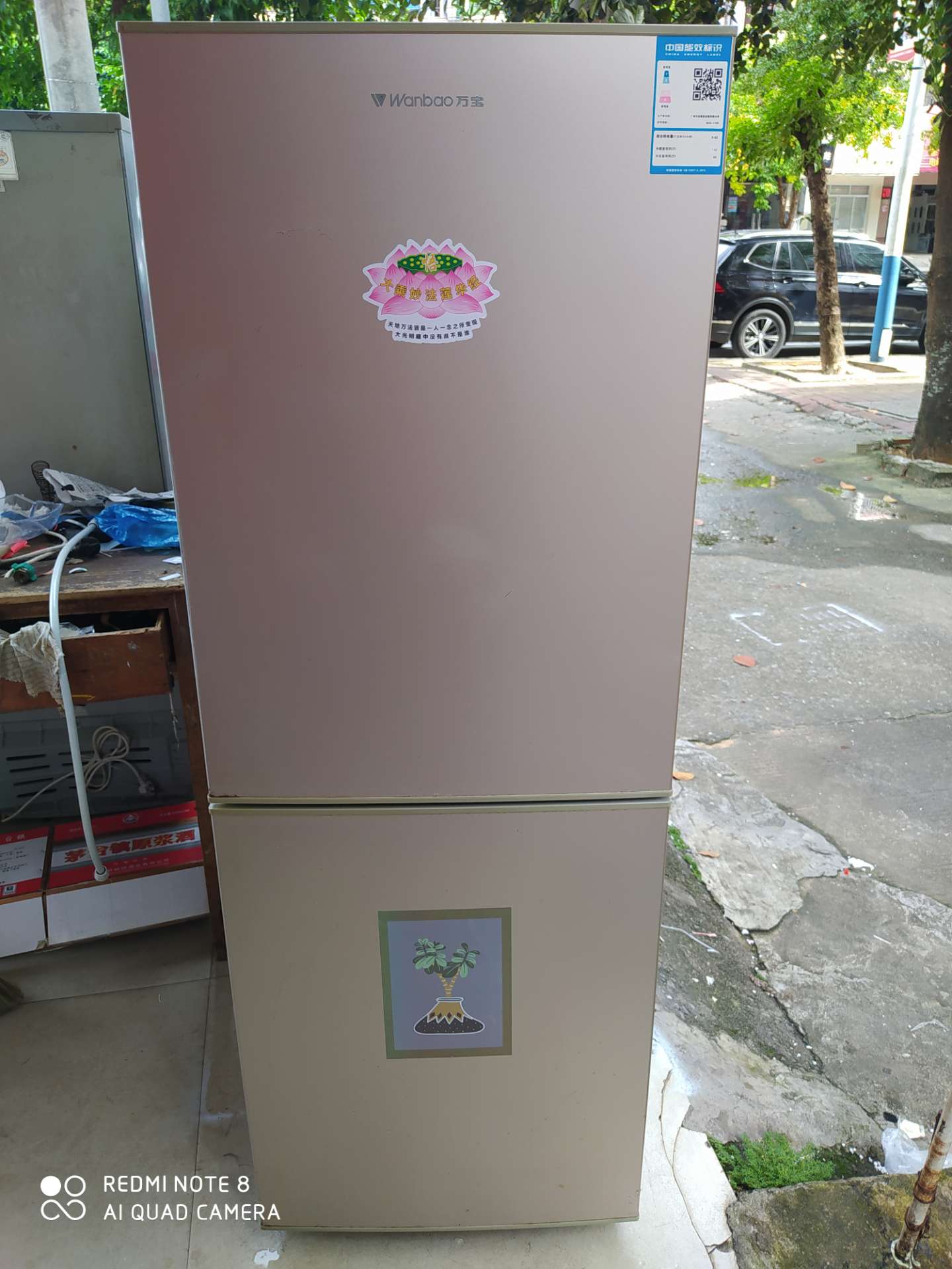 缩略图 2