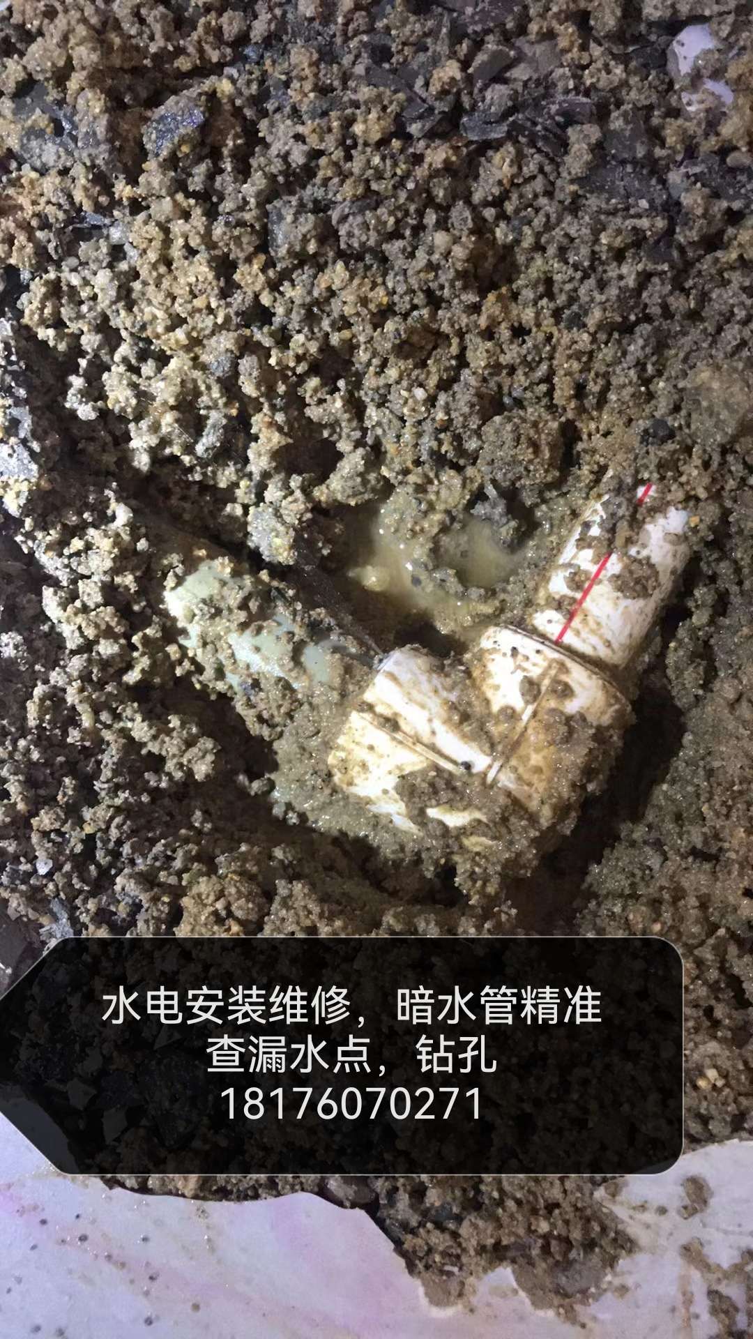 缩略图 3