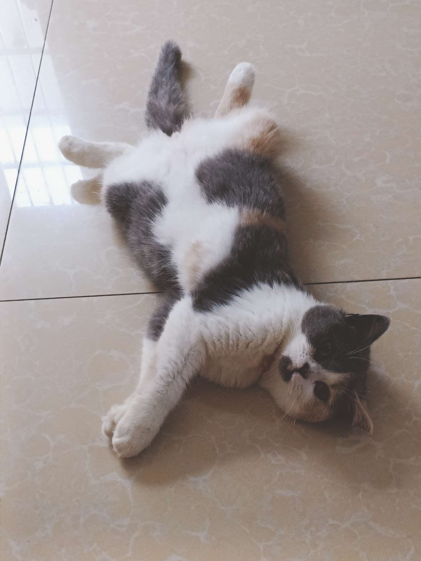 缩略图 3