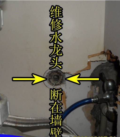 缩略图 2