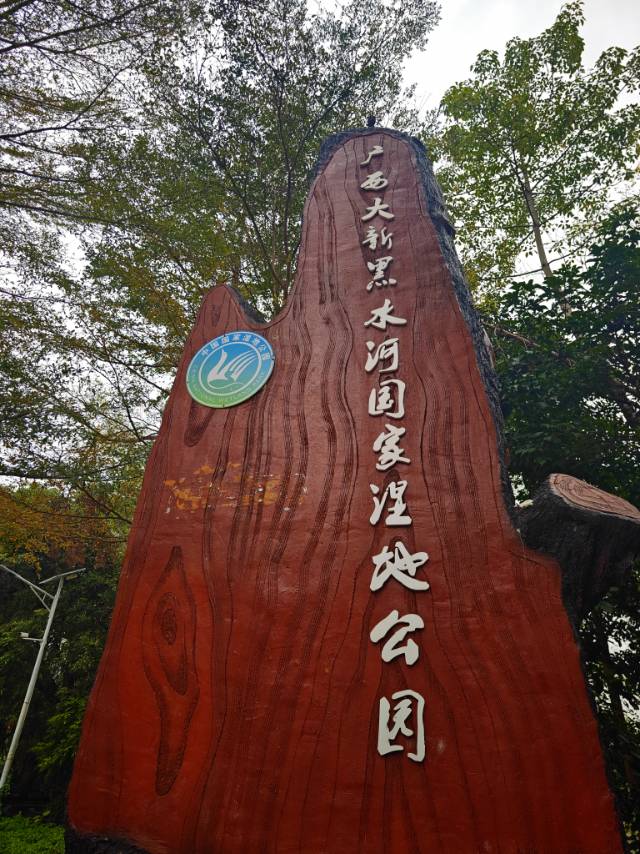 缩略图 7