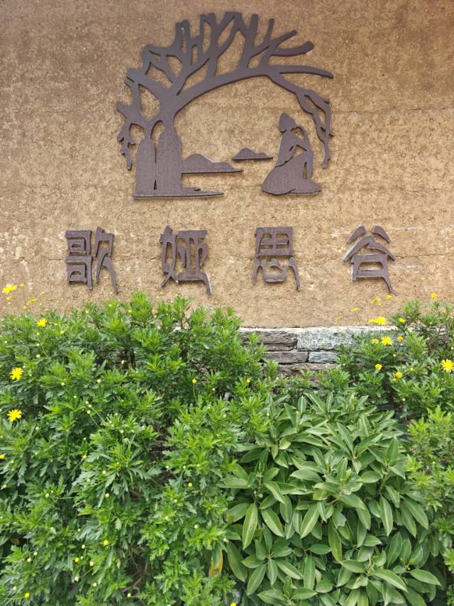 缩略图 7