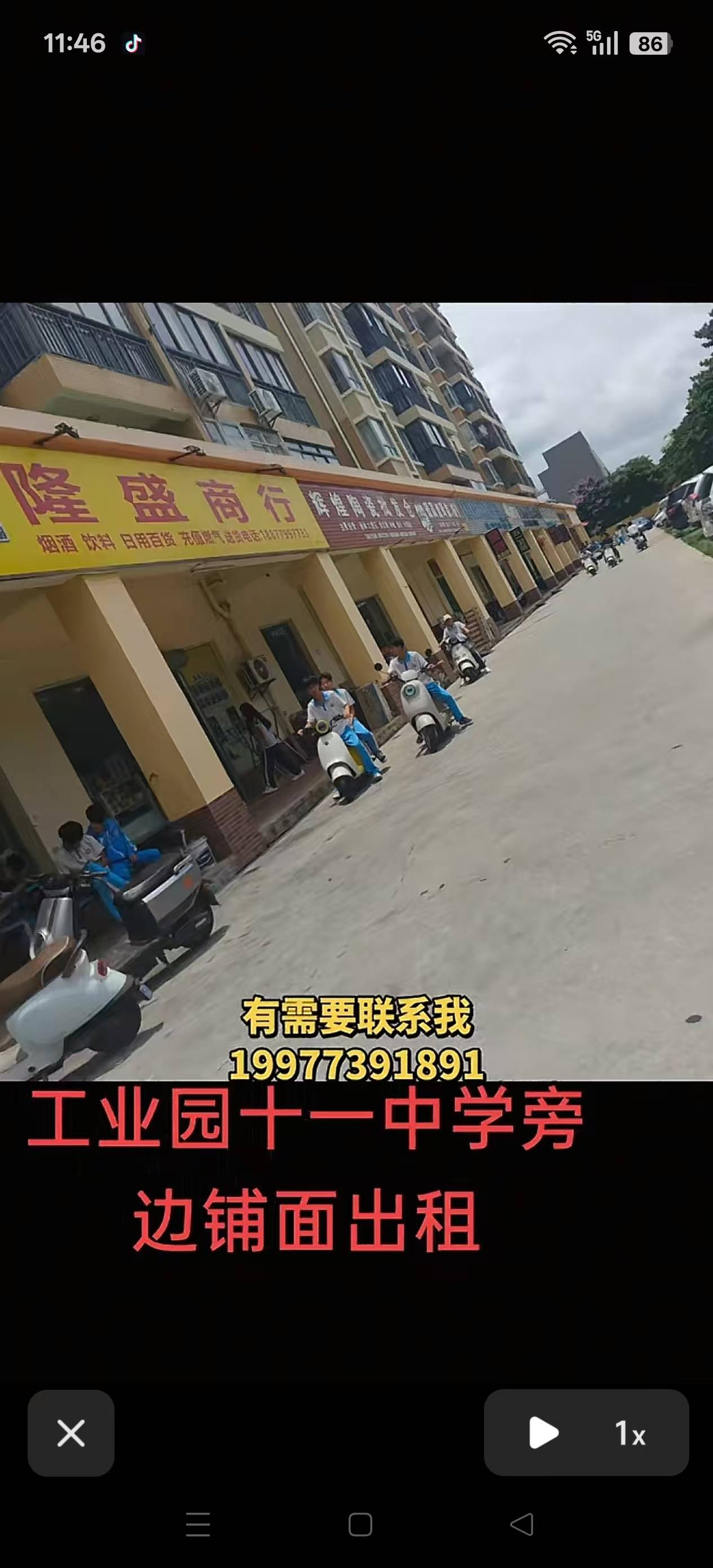 缩略图 5