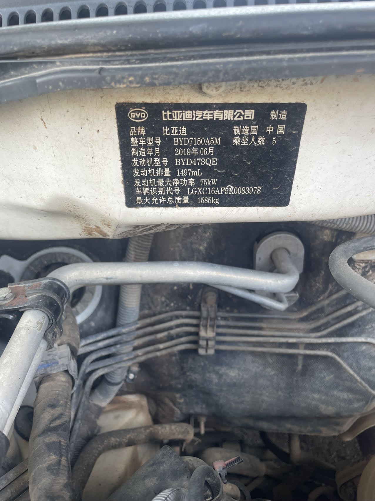 缩略图 5