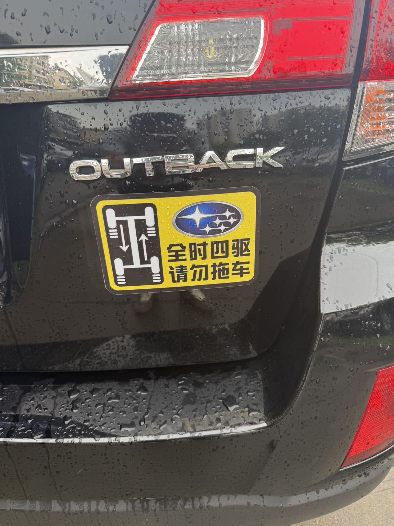 缩略图 8