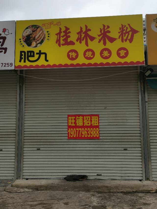 缩略图 2