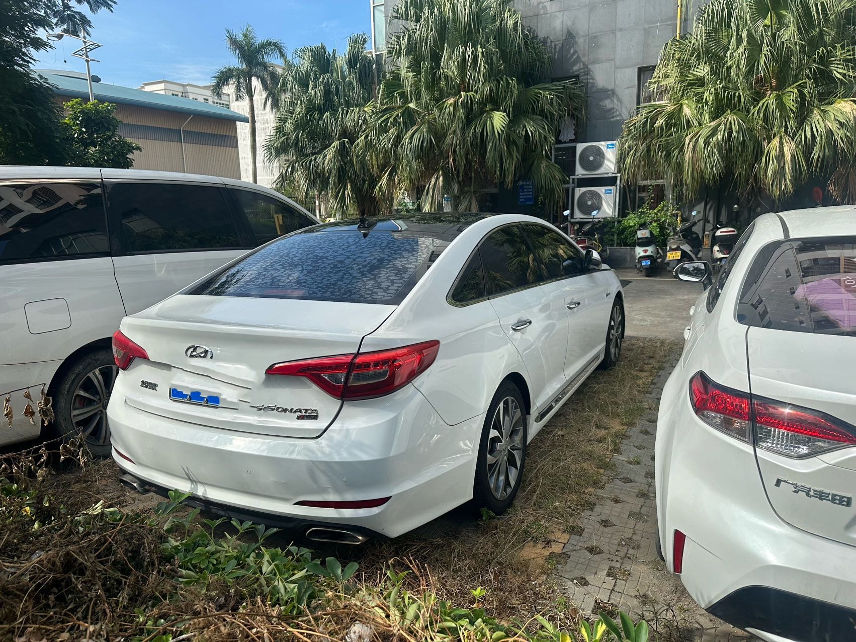 缩略图 4