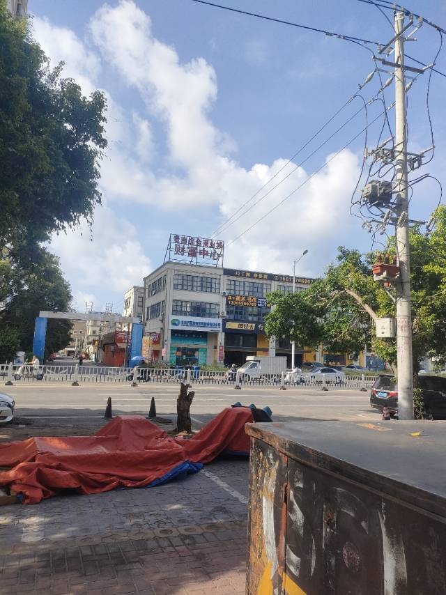 缩略图 2