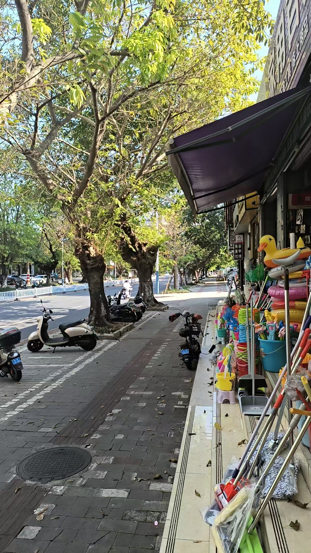 缩略图 2