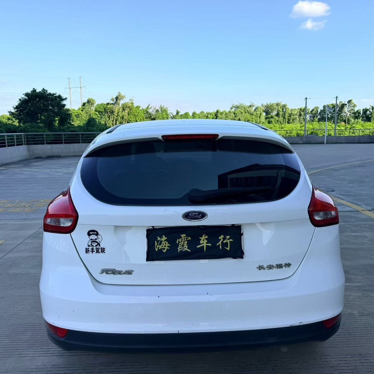 缩略图 5