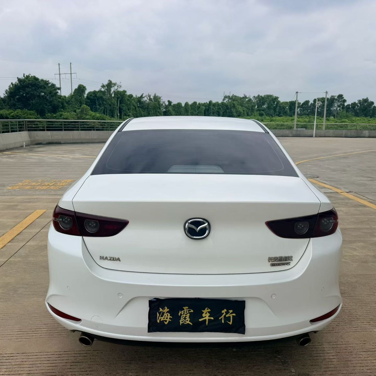 缩略图 5