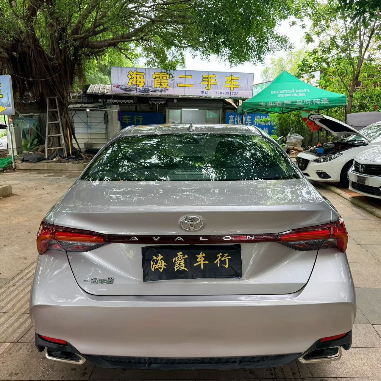 缩略图 5