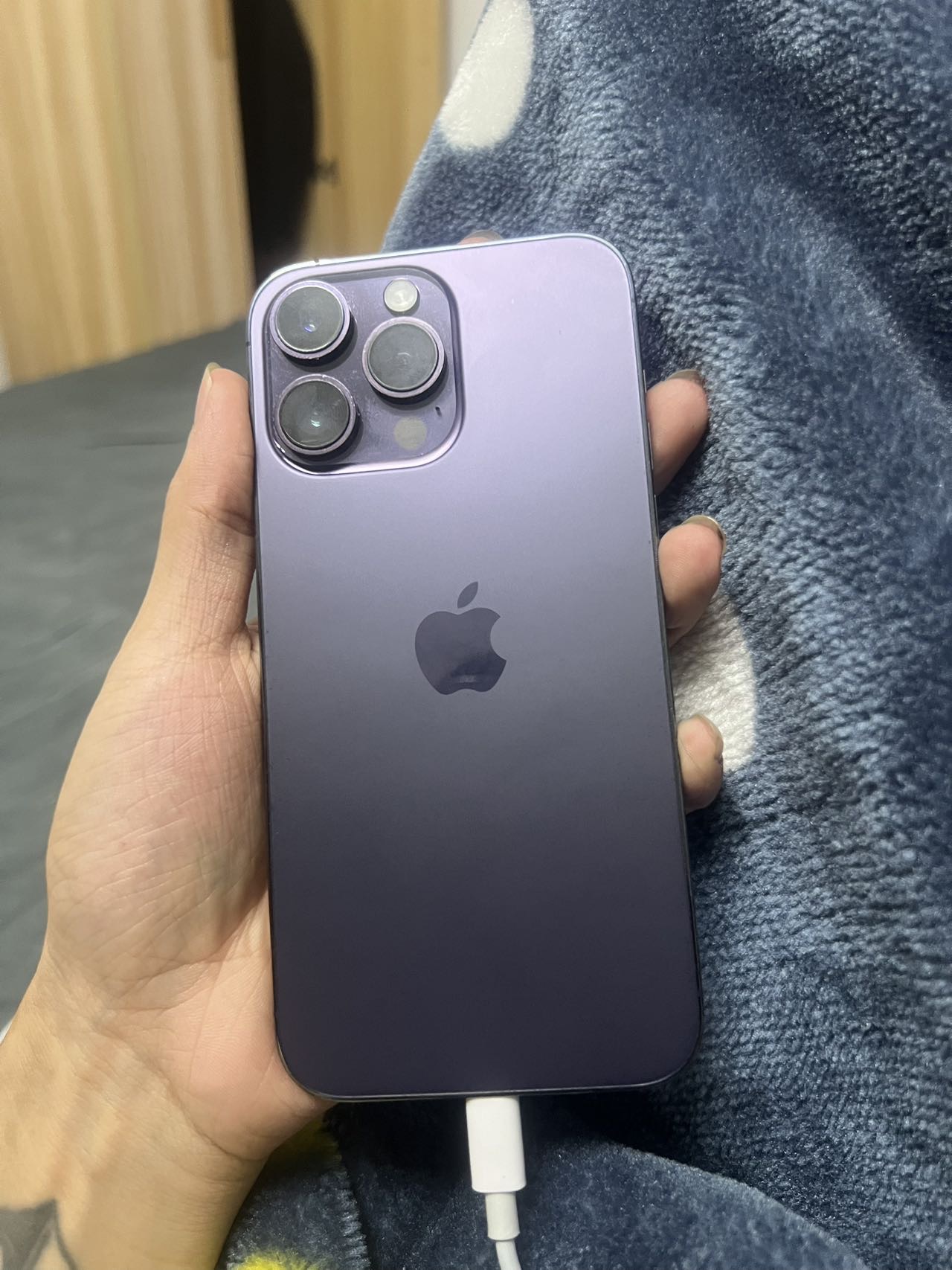 缩略图 2