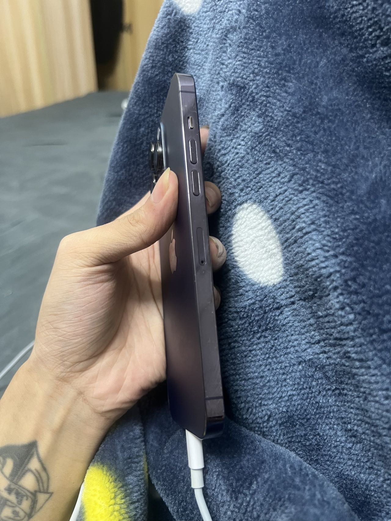 缩略图 3