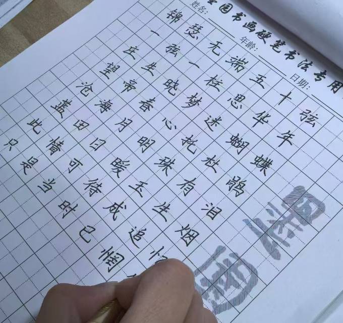 缩略图 8