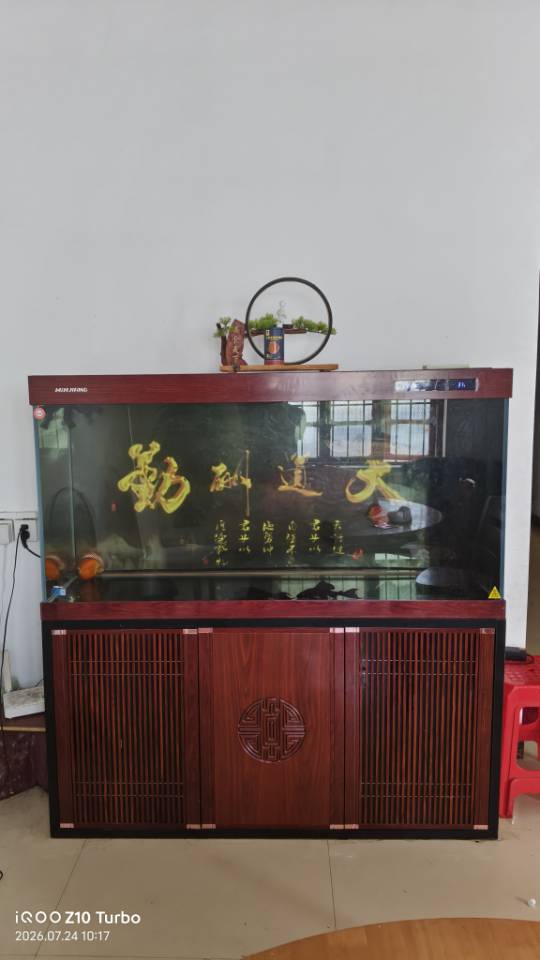 图片 8