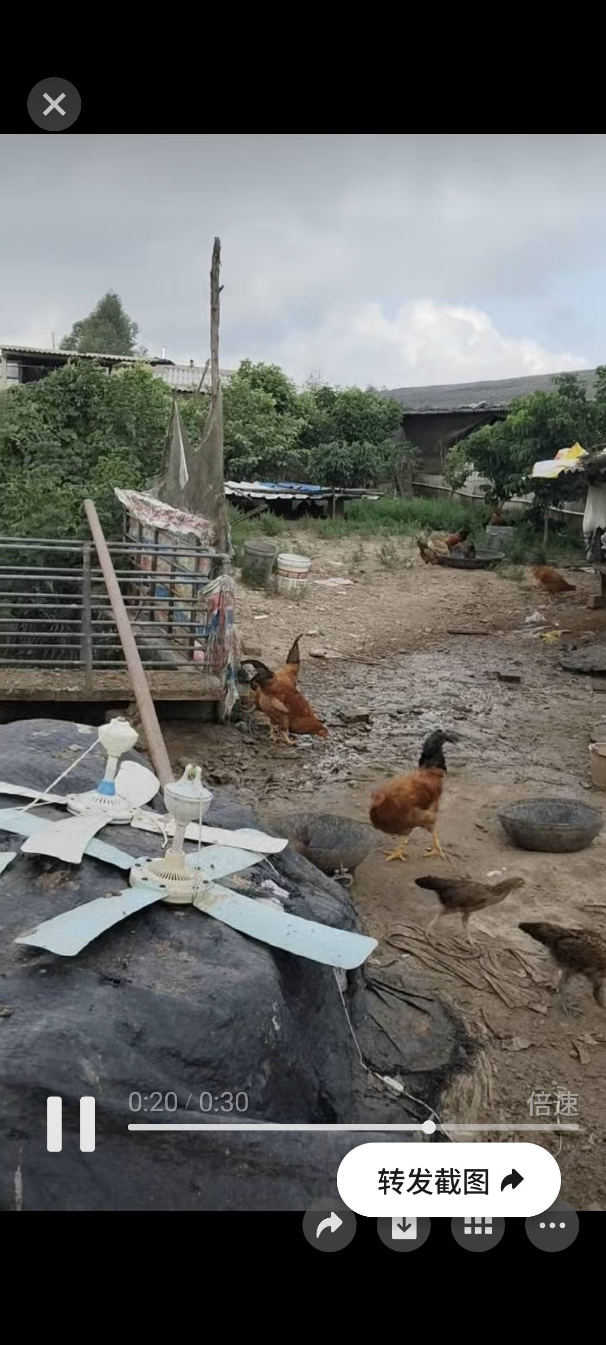 缩略图 2